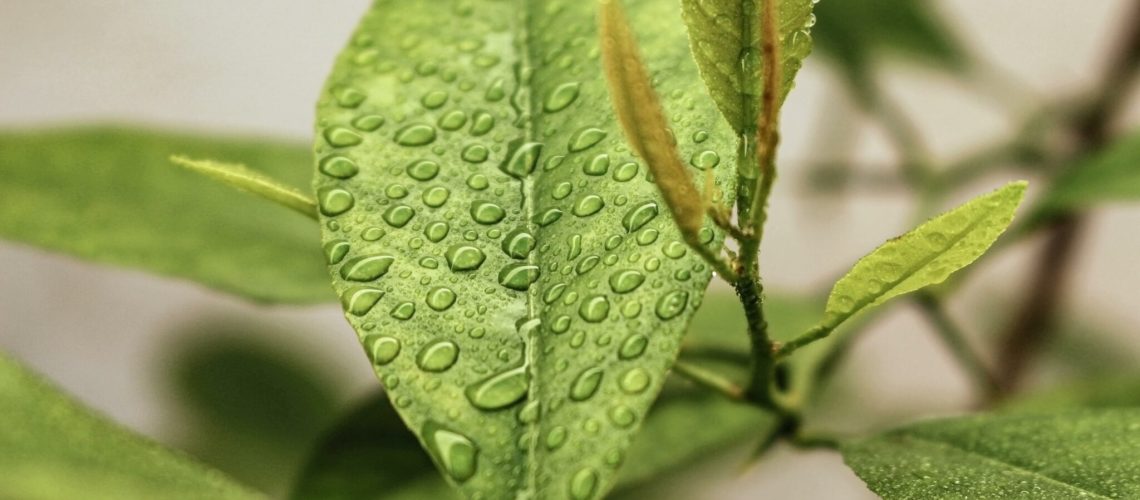 liz-breygel-HSr_FUzDH2w-unsplash-2048x1365-2